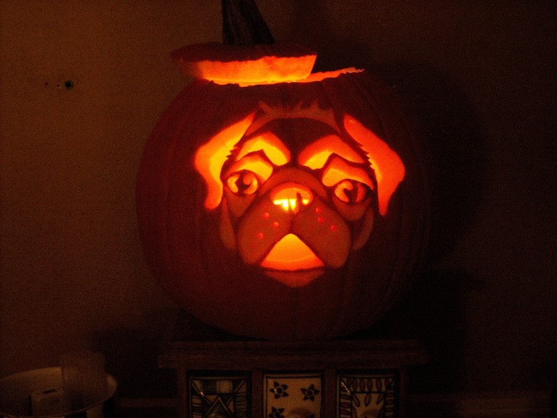 pugpumpkin2009.jpg