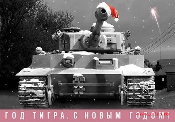 1 (115).jpg