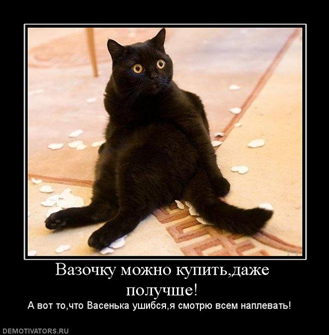 Котэ упал.jpg