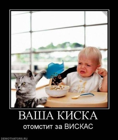 кискаjpg.jpg