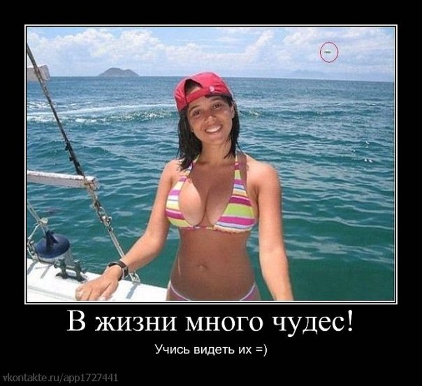 x_216dbc96.jpg