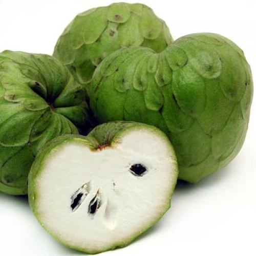 cherimoya-500x500.jpg