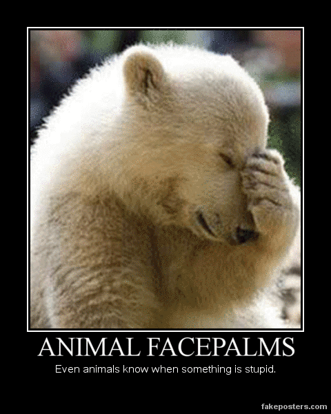 facepalm.gif