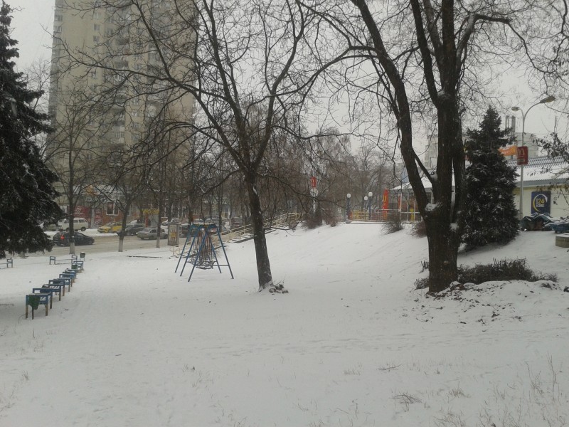 2012-02-04 10.23.52 Зима в Кишинёве. Ботаника..jpg