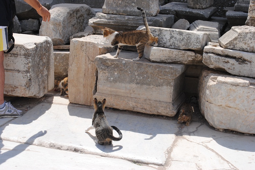 DSC_1663.jpg