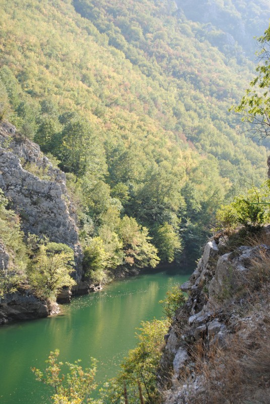DSC_2049.JPG