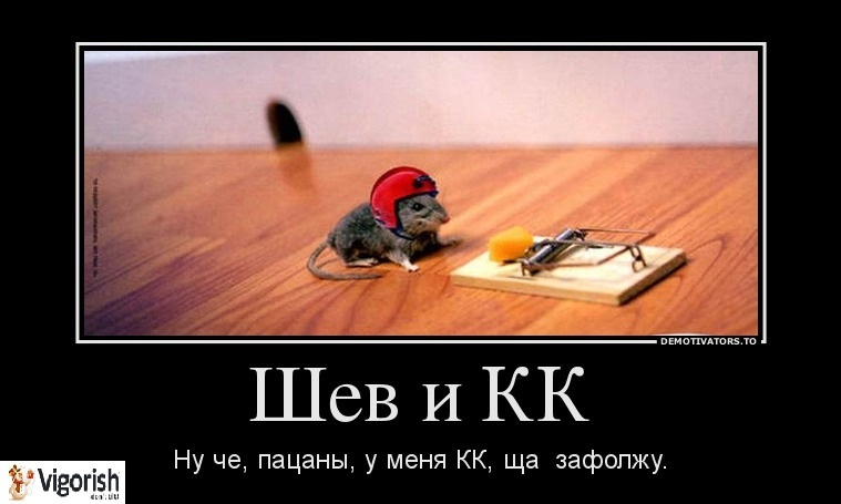 137201_shev-i-kk_demotivators_ru.jpg