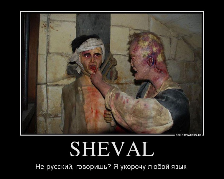 854591_sheval_demotivators_ru.jpg