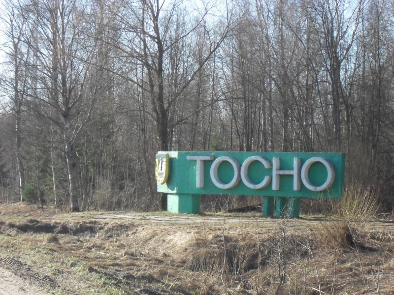 Tosno_Northern_gate.JPG