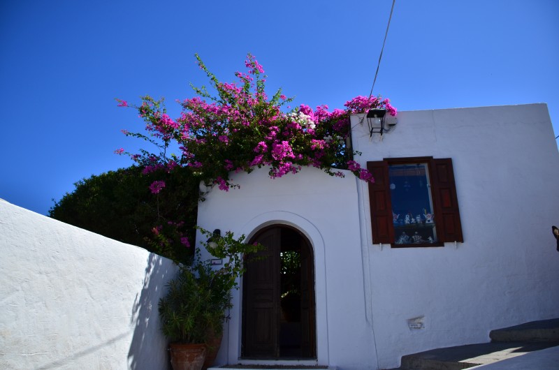DSC_1189.JPG
