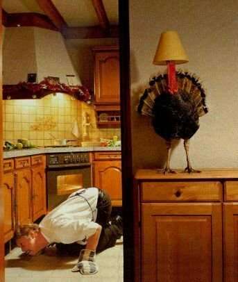 thanksgiving_funny_picture_07.jpg